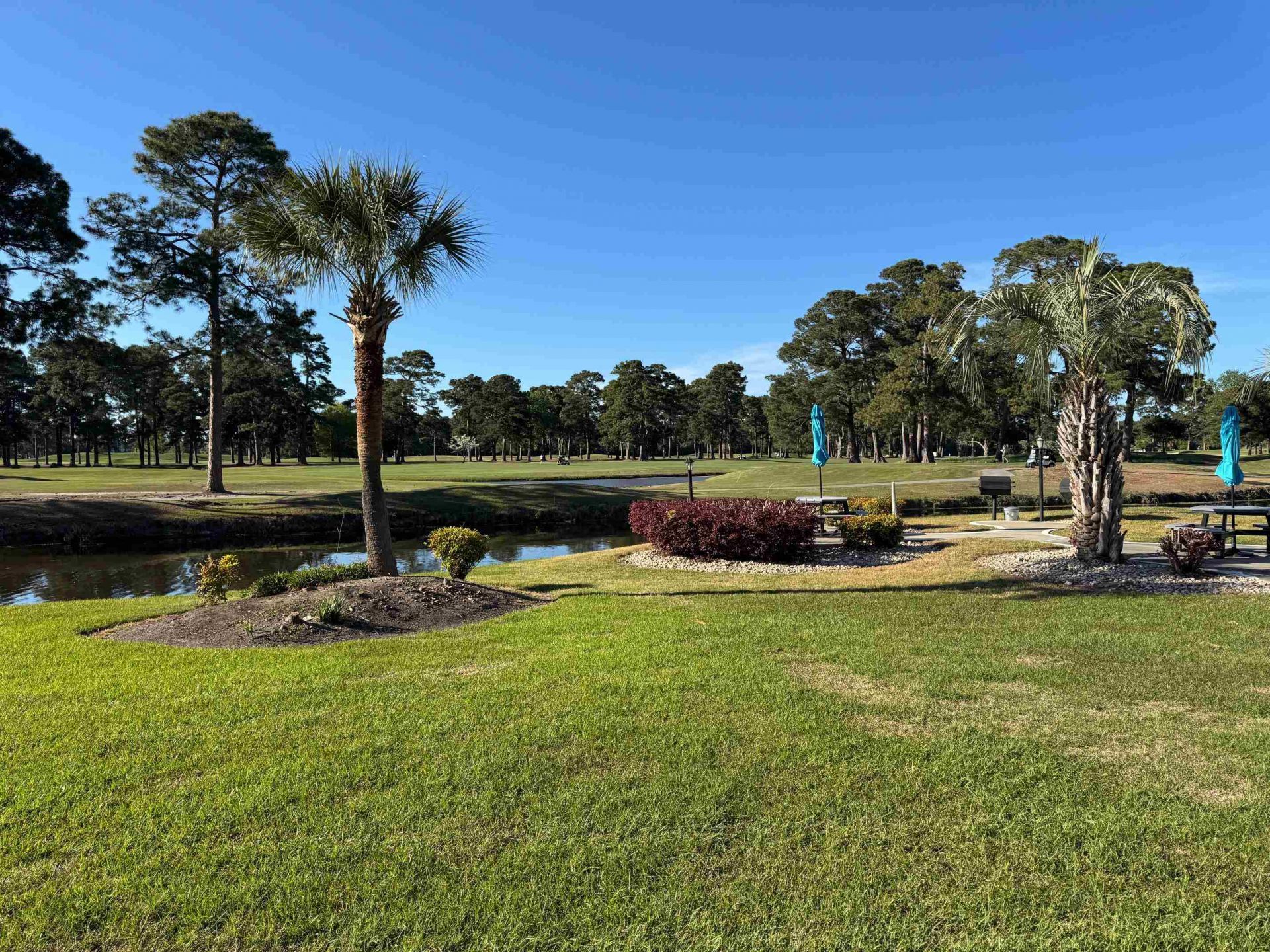4733 Wild Iris Dr. Photo 41
