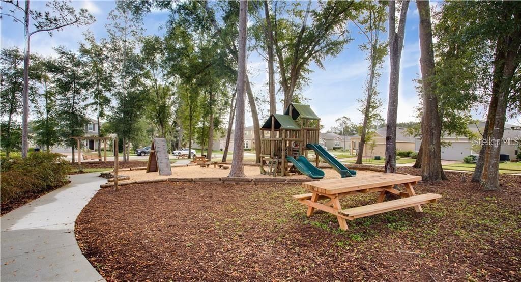2850 Alder Berry Boulevard, Ocoee, FL 34761 Photo