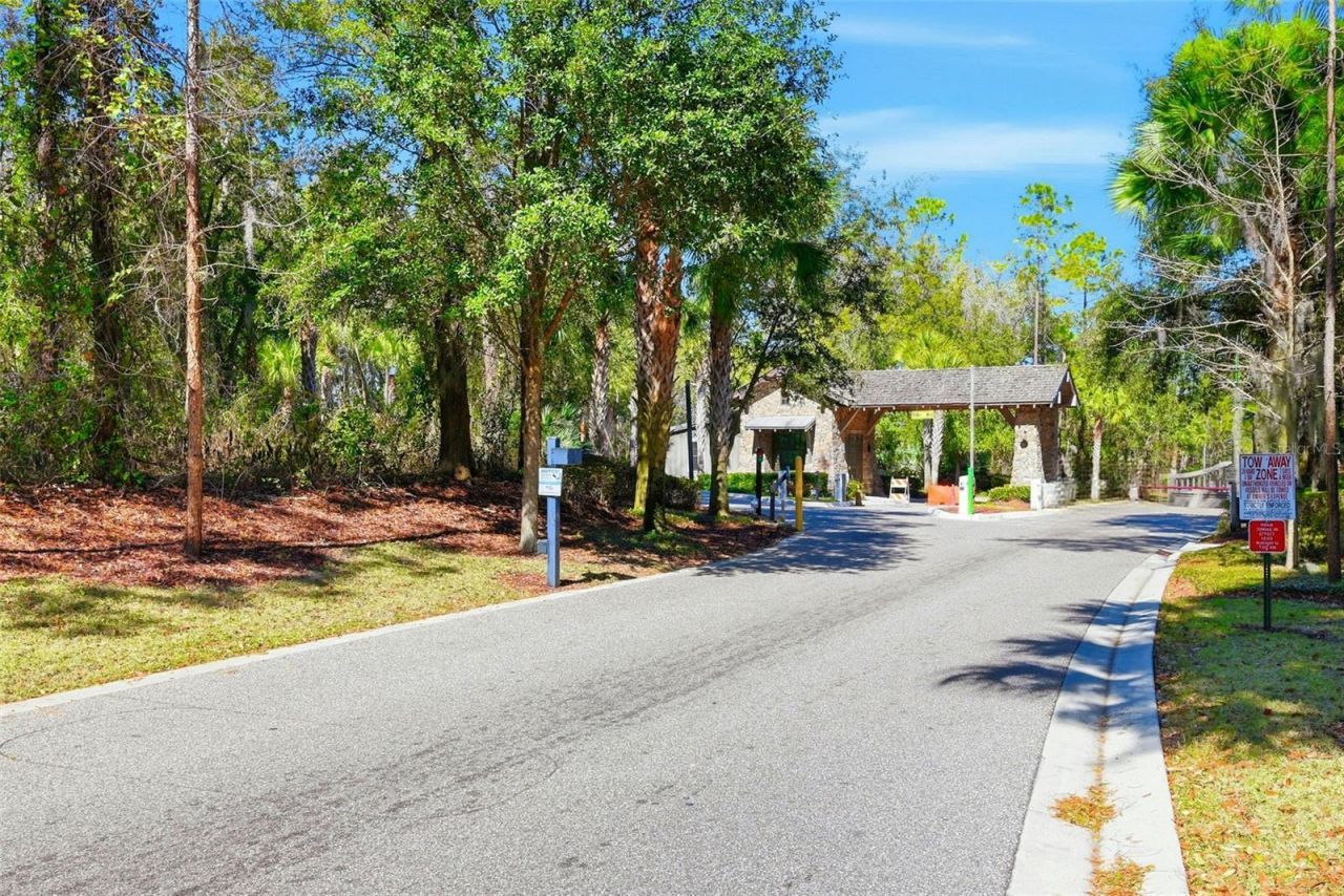 2850 Alder Berry Boulevard, Ocoee, FL 34761 Photo