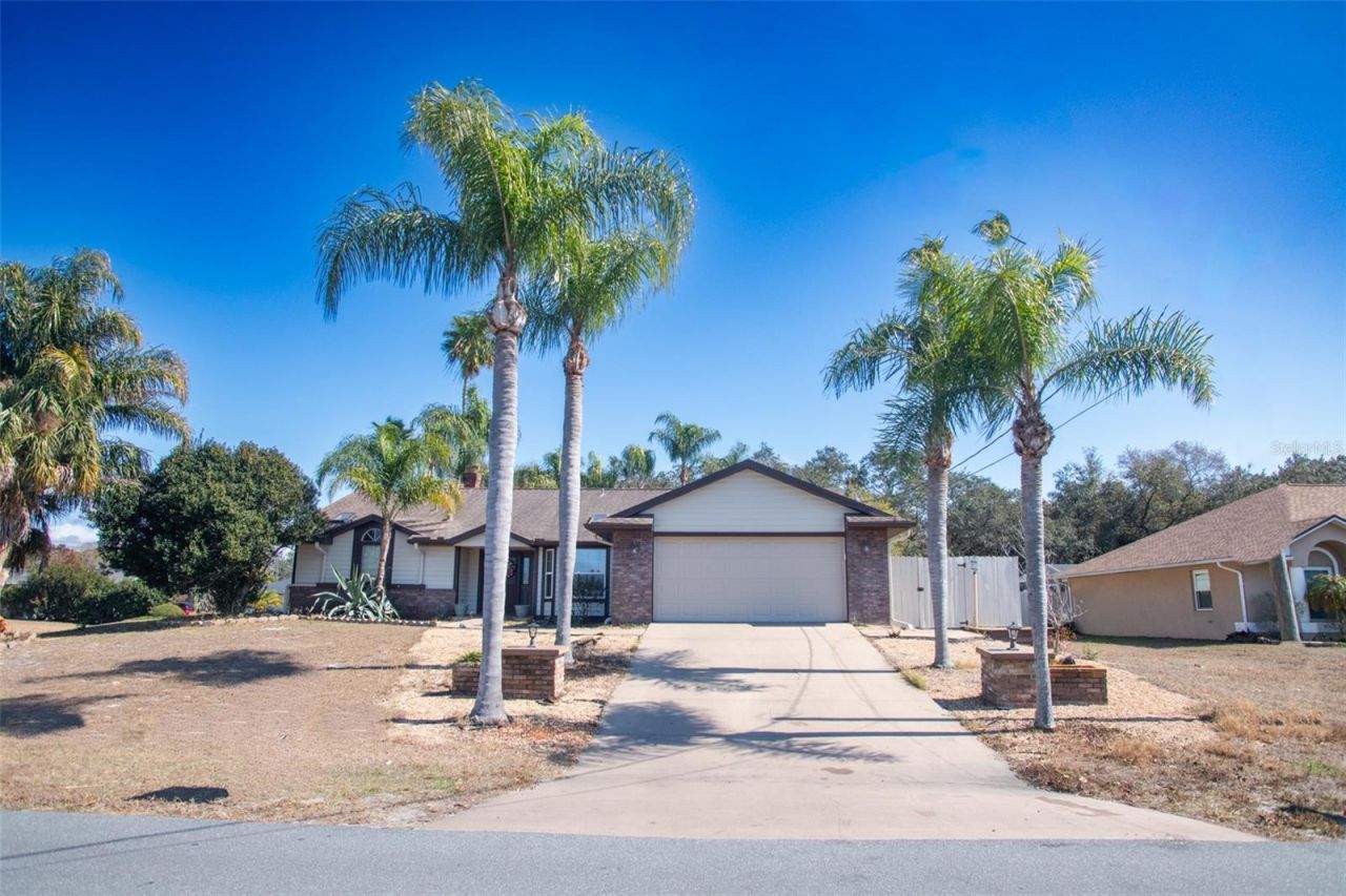 230 Planter Road, Spring Hill, FL 34606 Photo