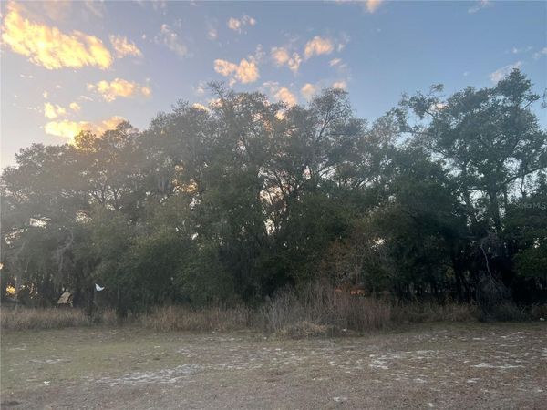 522 PALMETTO STREET, EUSTIS, FL 32726