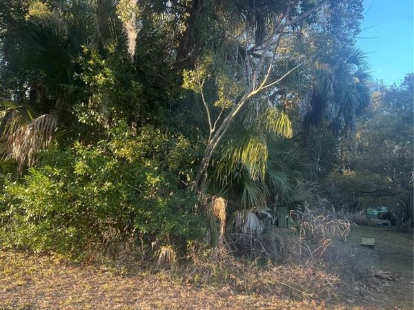 E JACKSON AVENUE, MOUNT DORA, FL 32757