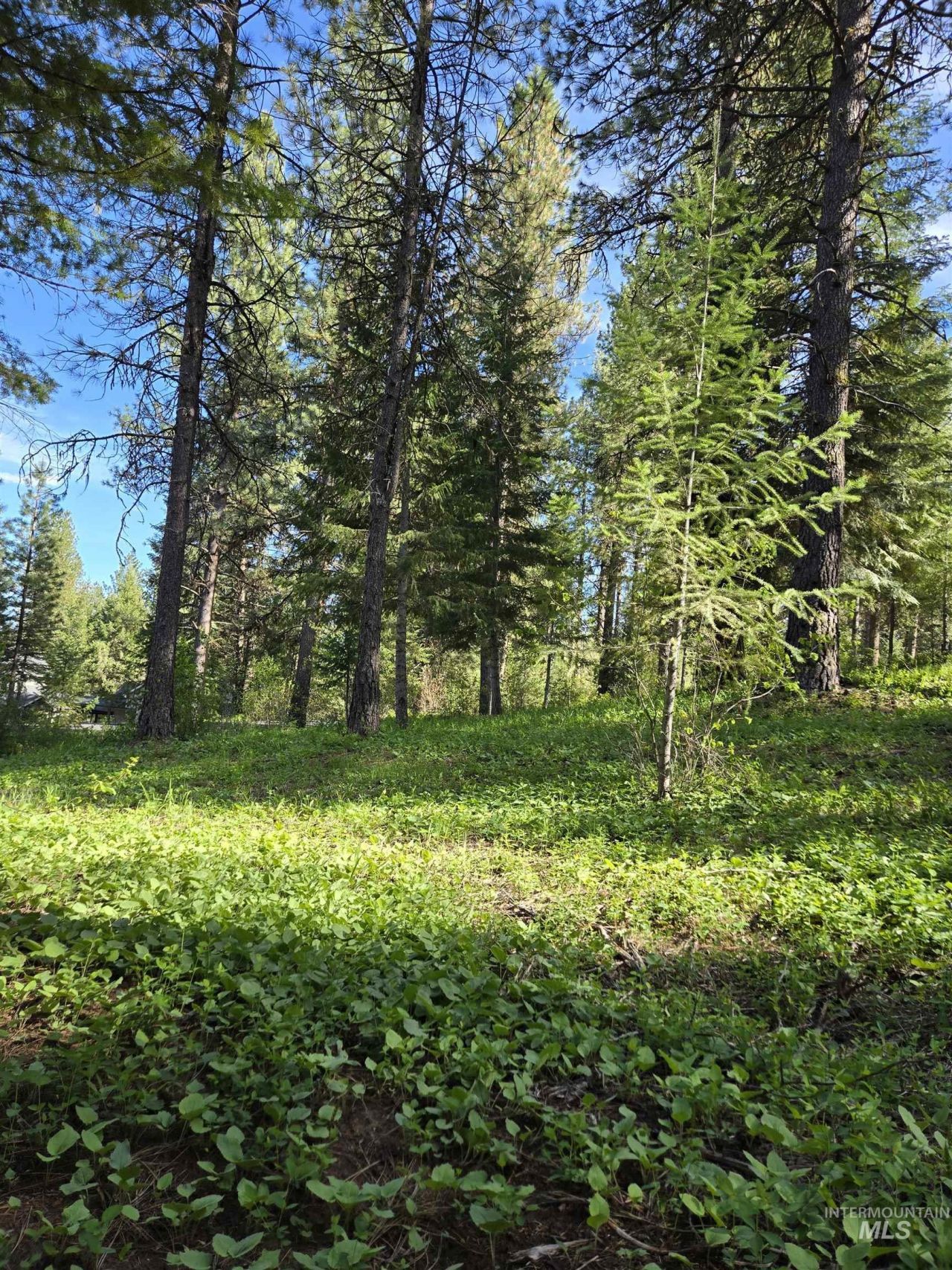 Tbd Sorrel, New Meadows, ID 83654 Main Photo