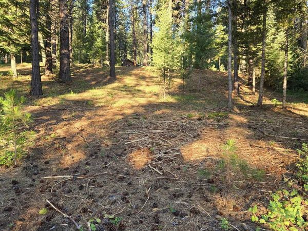 TBD Sorrel, New Meadows, ID 83654