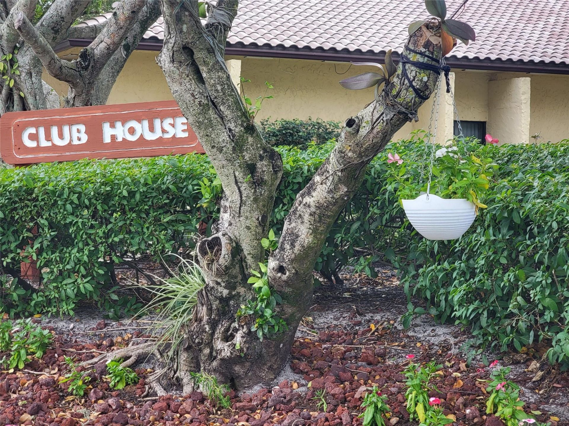 2309 SW 81st Ter, Unit 5, North Lauderdale, FL 33068 Photo