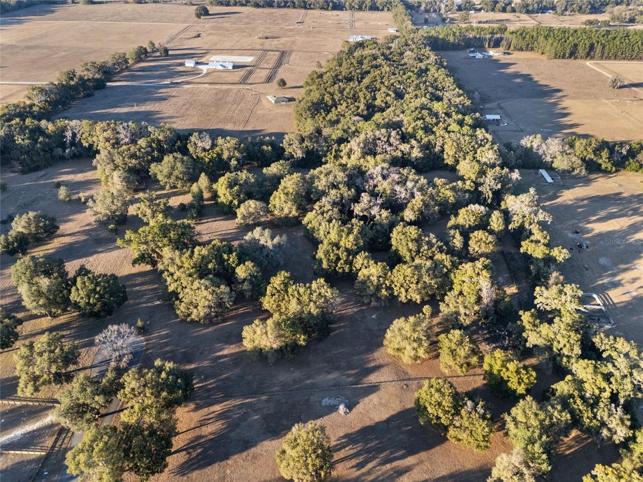 Tbd NW 328, Reddick, FL 32686 Photo