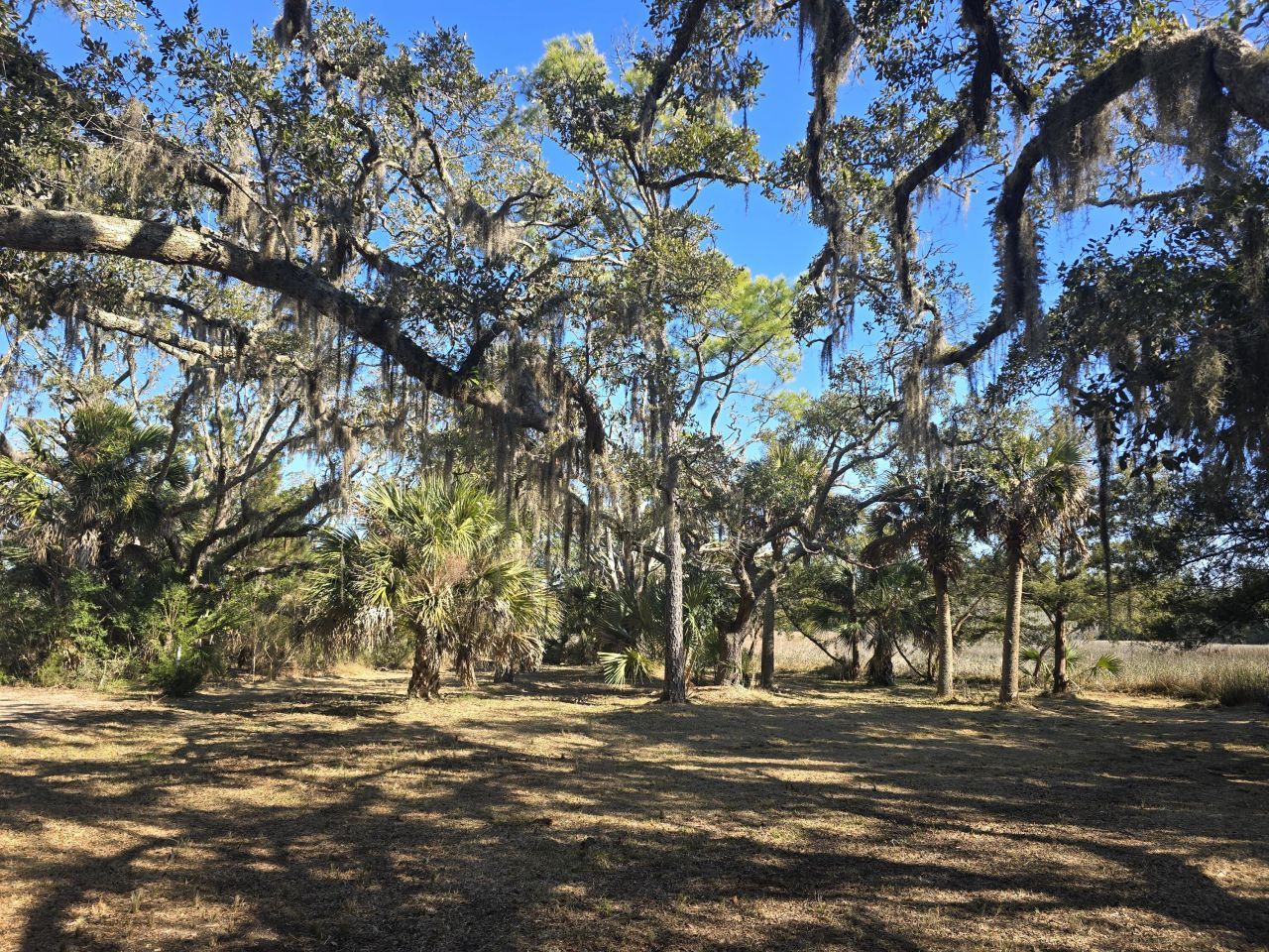 58 Painted Bunting Trail Photo 11