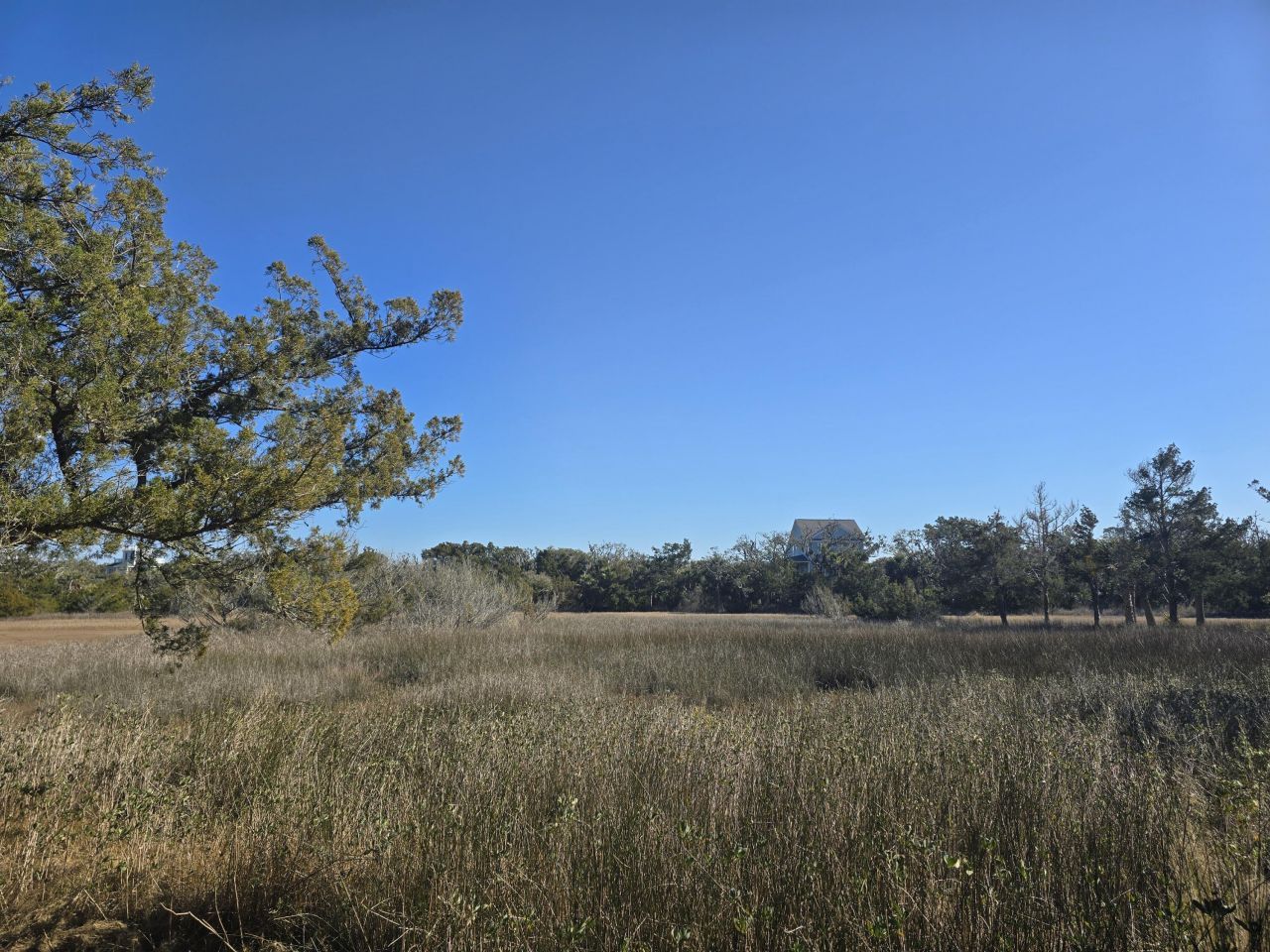 58 Painted Bunting Trail Photo 12