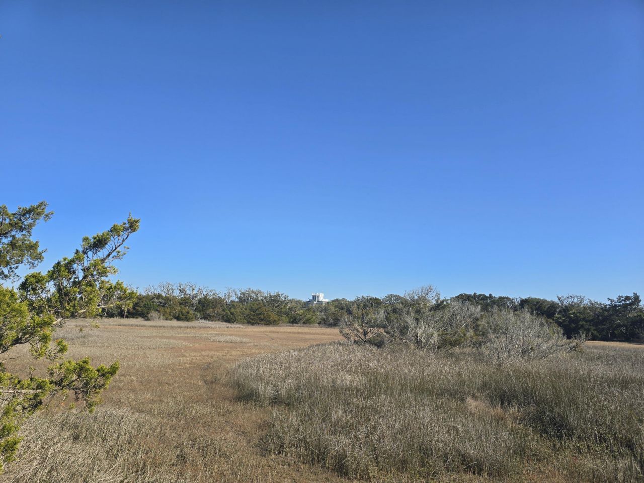 58 Painted Bunting Trail Photo 13