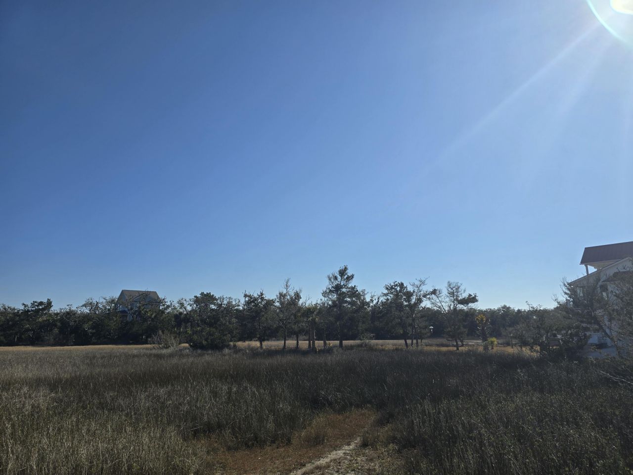 58 Painted Bunting Trail Photo 14