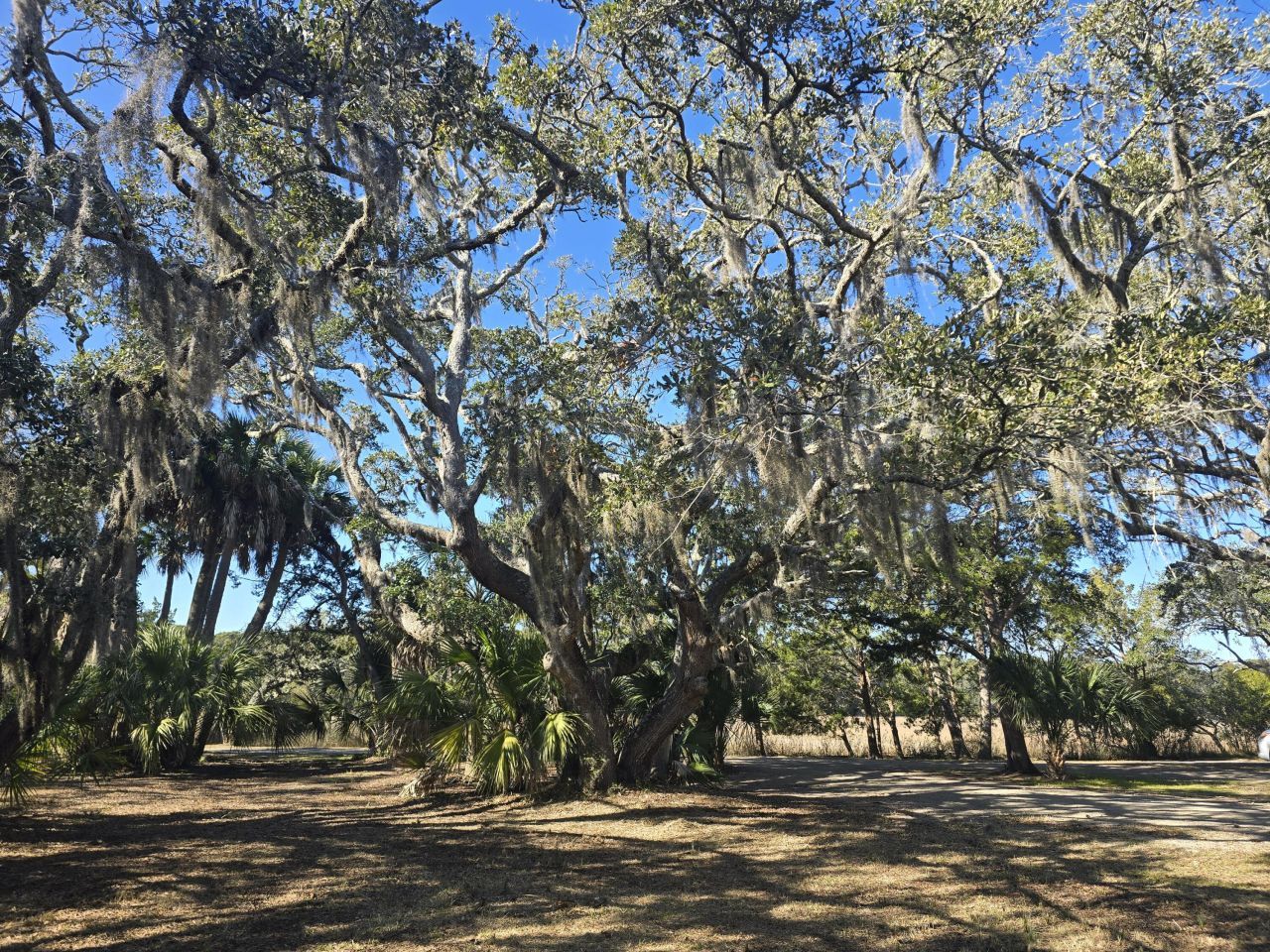 58 Painted Bunting Trail Photo 15