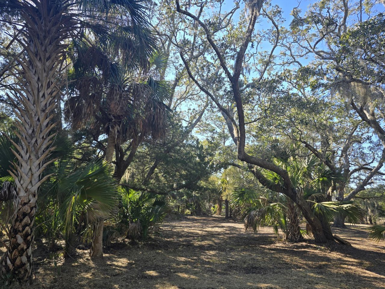 58 Painted Bunting Trail Photo 17