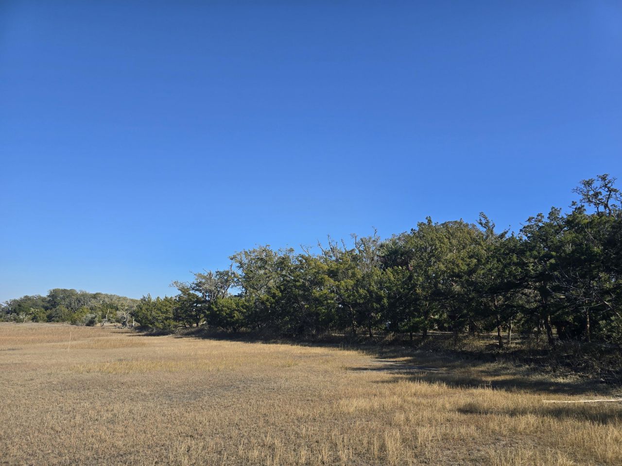 58 Painted Bunting Trail Photo 18