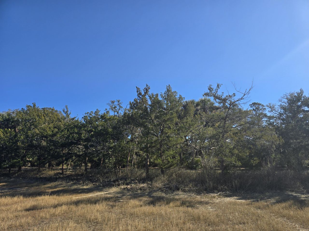 58 Painted Bunting Trail Photo 19