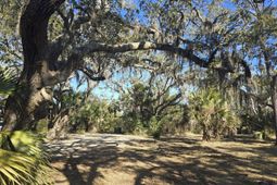 58 Painted Bunting Trail photo 4