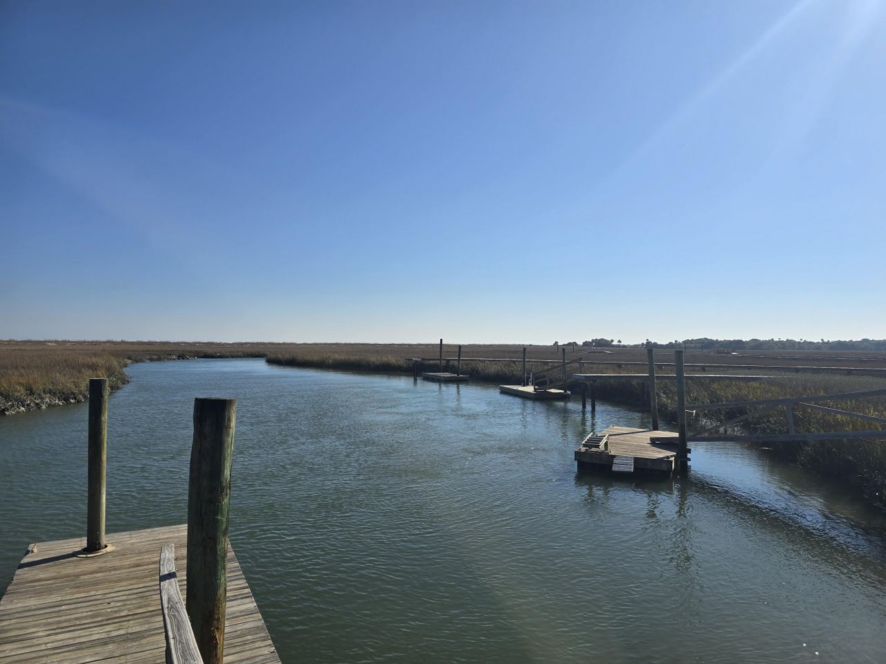 58 Painted Bunting Trail Photo 20