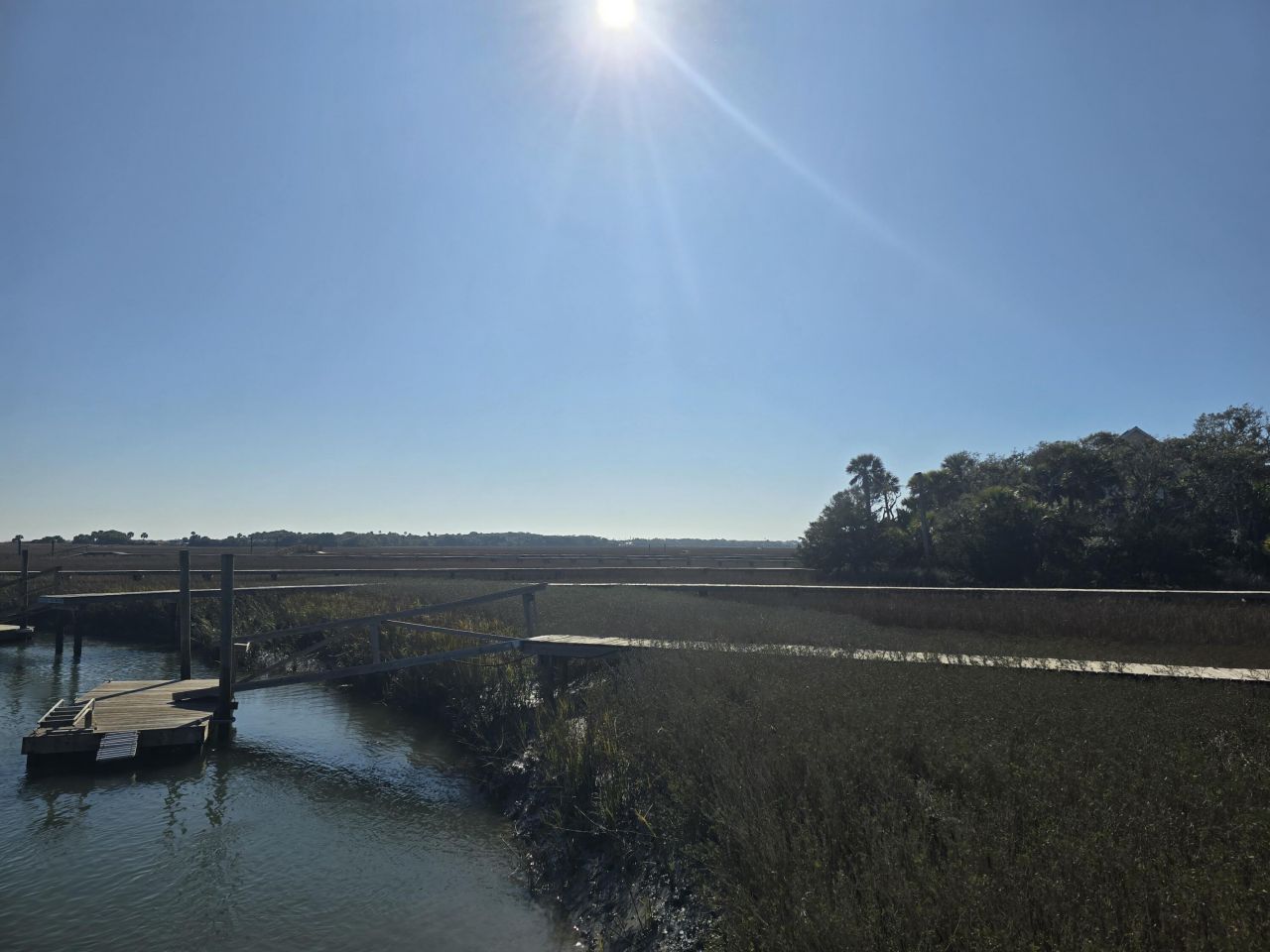 58 Painted Bunting Trail Photo 21