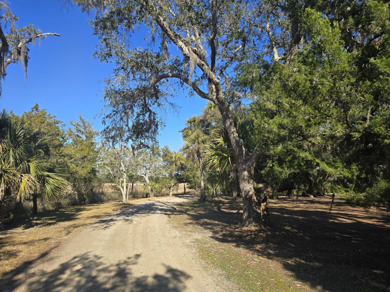 58 Painted Bunting Trail Photo 4