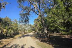 58 Painted Bunting Trail photo 4