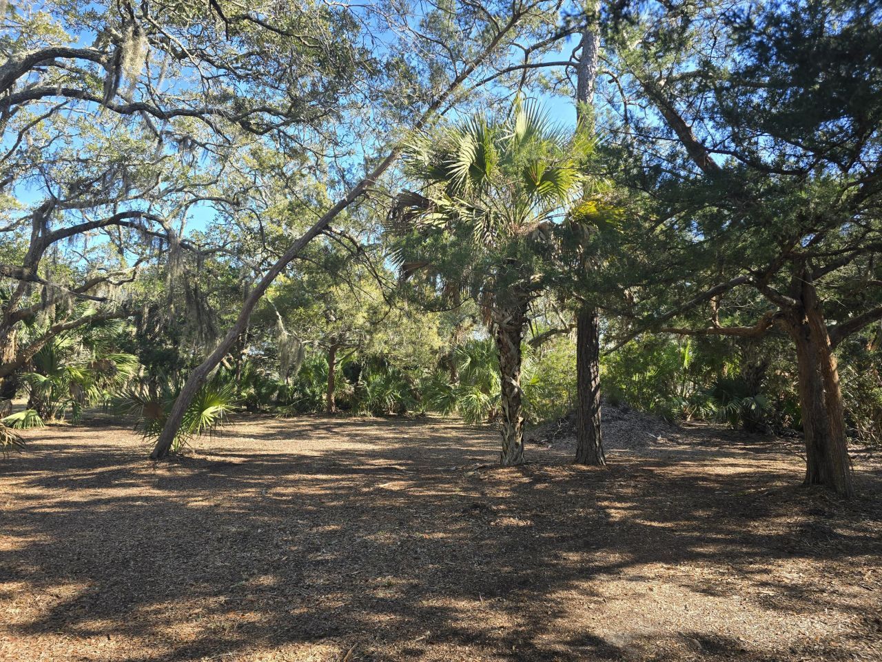 58 Painted Bunting Trail Photo 6