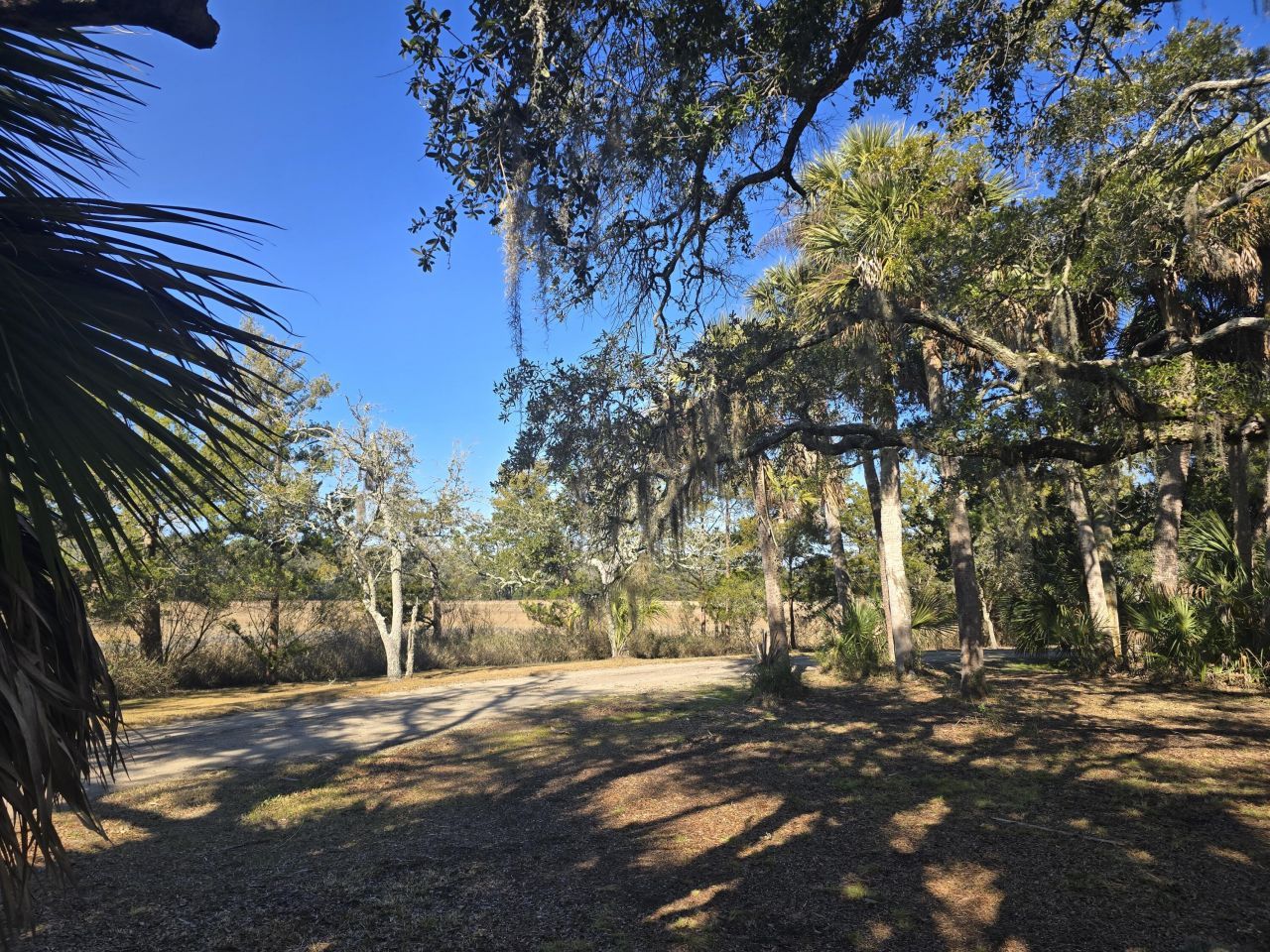 58 Painted Bunting Trail Photo 7