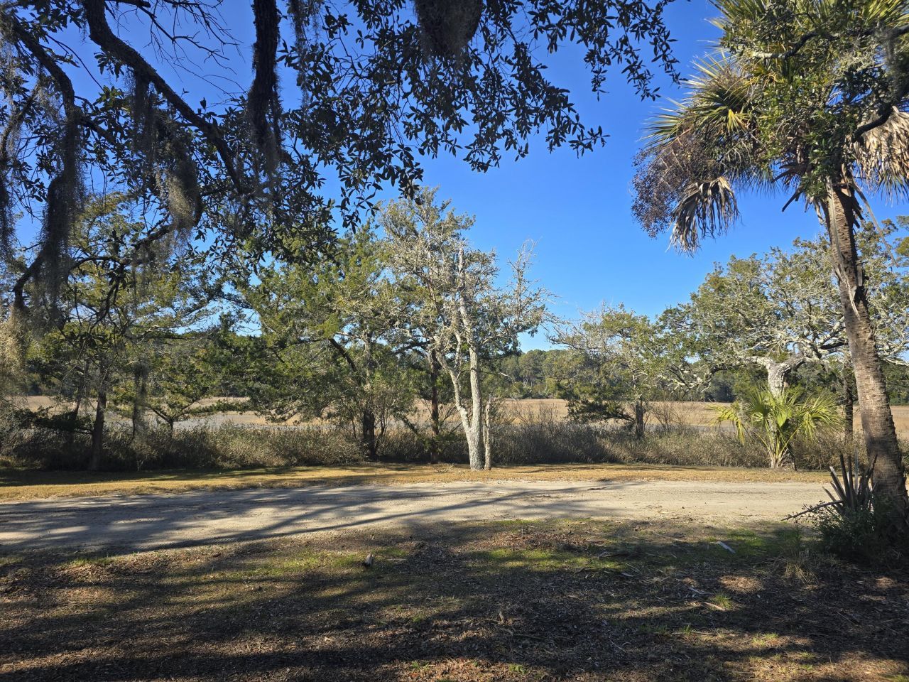 58 Painted Bunting Trail Photo 8