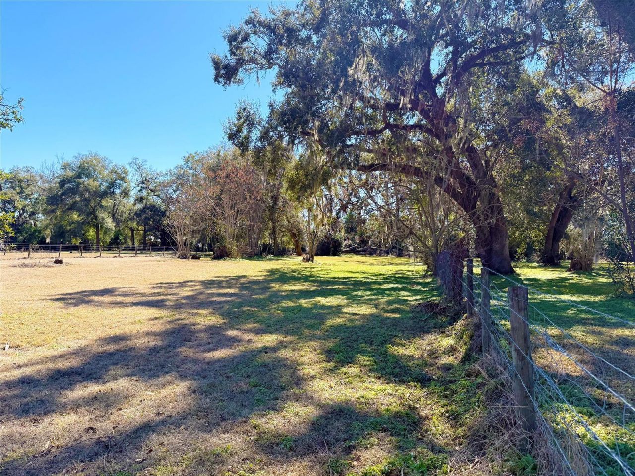 2039 SW State Road 26, Trenton, FL 32693 Photo