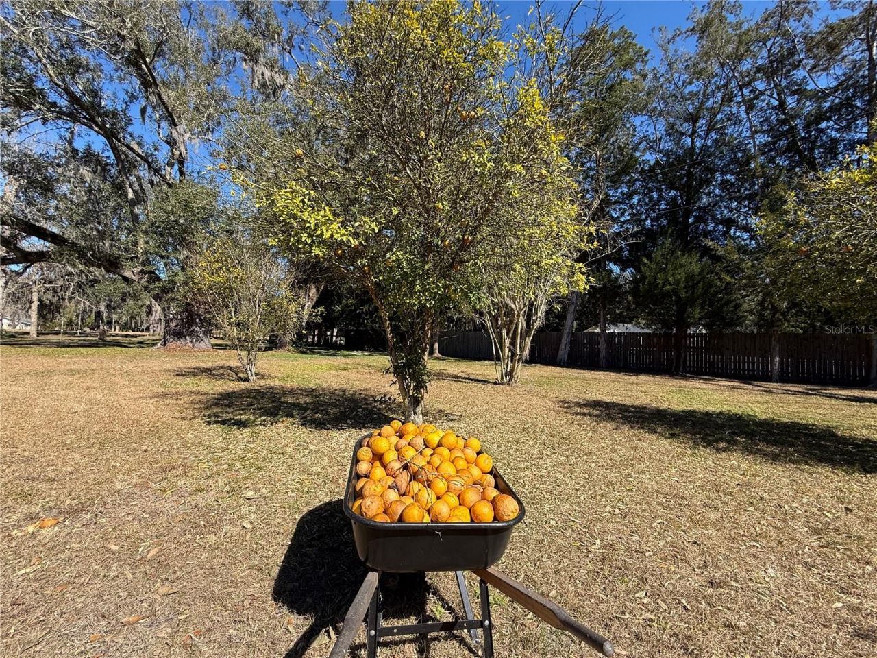 2039 SW State Road 26, Trenton, FL 32693 Photo