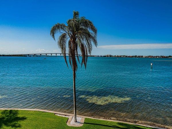 6105 BAHIA DEL MAR CIRCLE, Unit 382, ST PETERSBURG, FL 33715