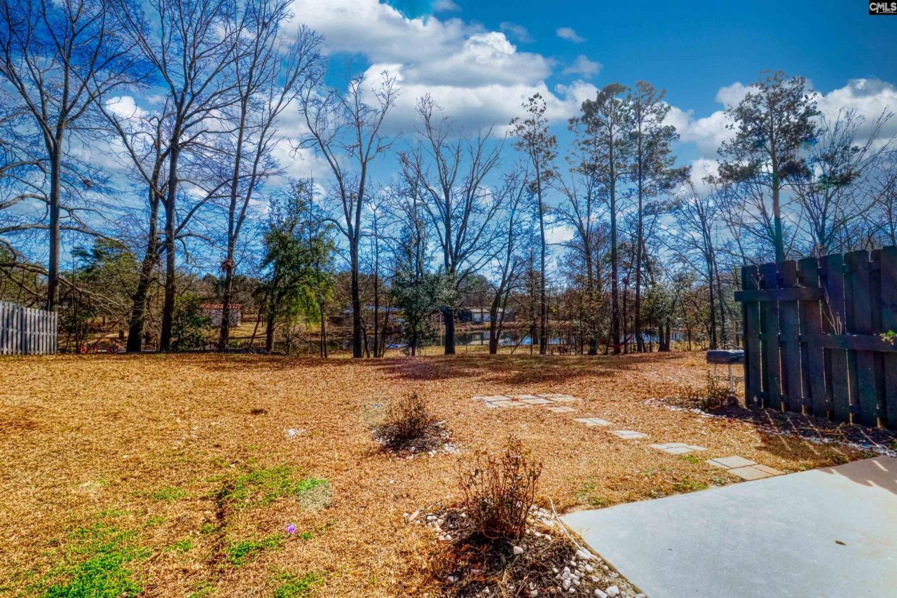 145 Silver Run Place Photo 15