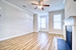 145 Silver Run Place photo 4