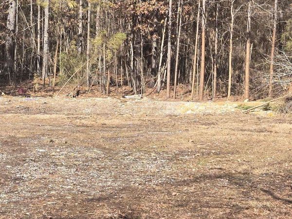 391 Joe Ford Trail, Fountain Lake, AR 71909