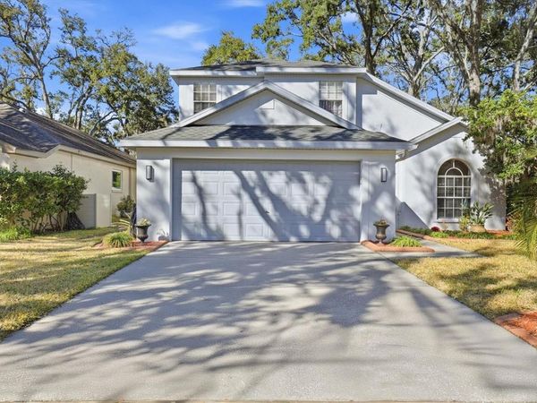 4617 WHISPERING PARK LANE, TAMPA, FL 33614