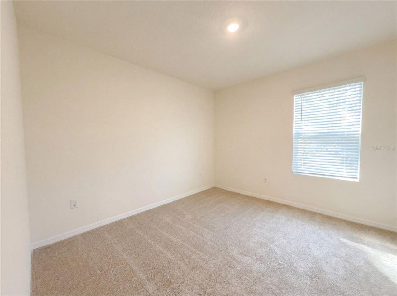 11327 Amber Ridge Drive, Zellwood, FL 32798 Photo