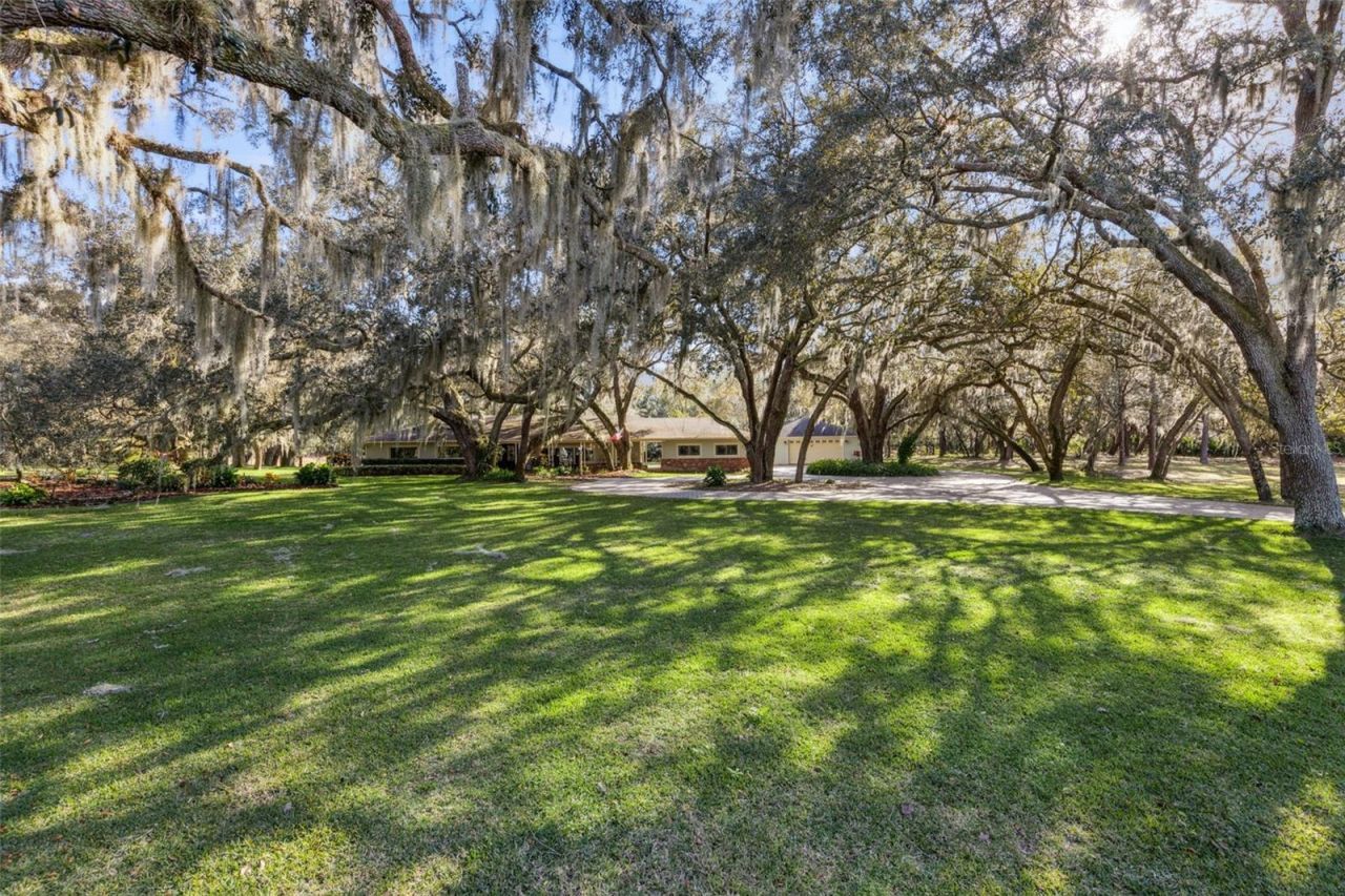 1055 Brumley Road, Chuluota, FL 32766 Photo