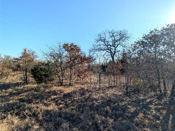 Fishmarket Road, Macomb, OK 74852