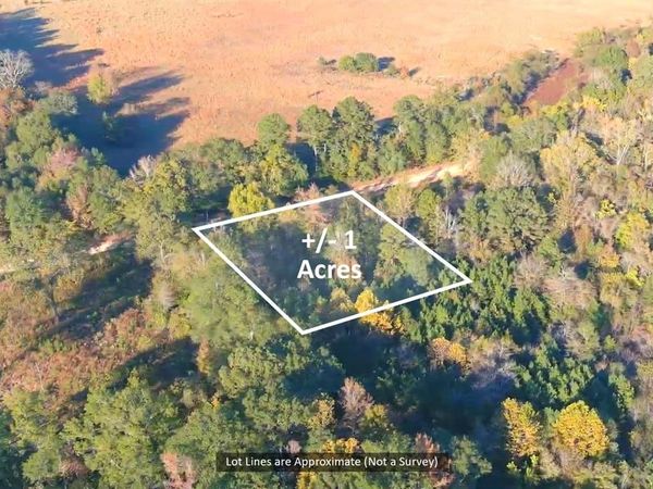 0 Butler Road, Haworth, OK 74740