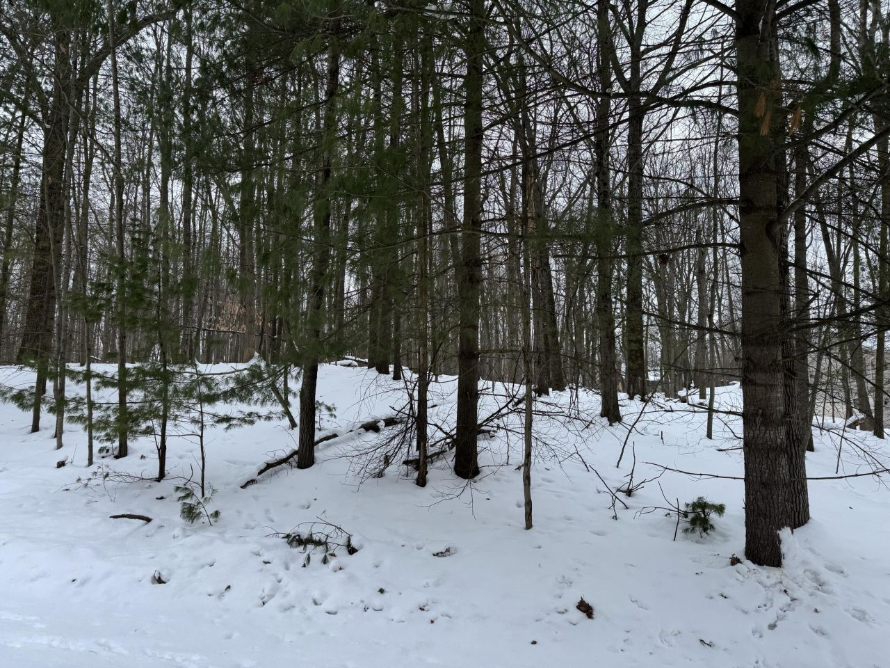 10953 Shawnee Trail, Stanwood, MI 49346 Main Photo