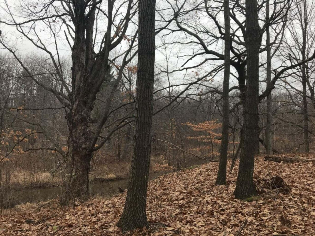 12923 Riverview Drive, Gowen, MI 49326 Main Photo