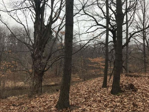 12923 Riverview Drive, Gowen, MI 49326