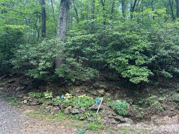 0 Pine Ridge Road, Hendersonville, NC 28792