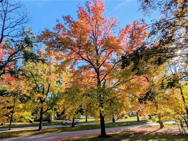 6624 Big Creek Parkway, Parma Heights, OH 44130 Photo 38