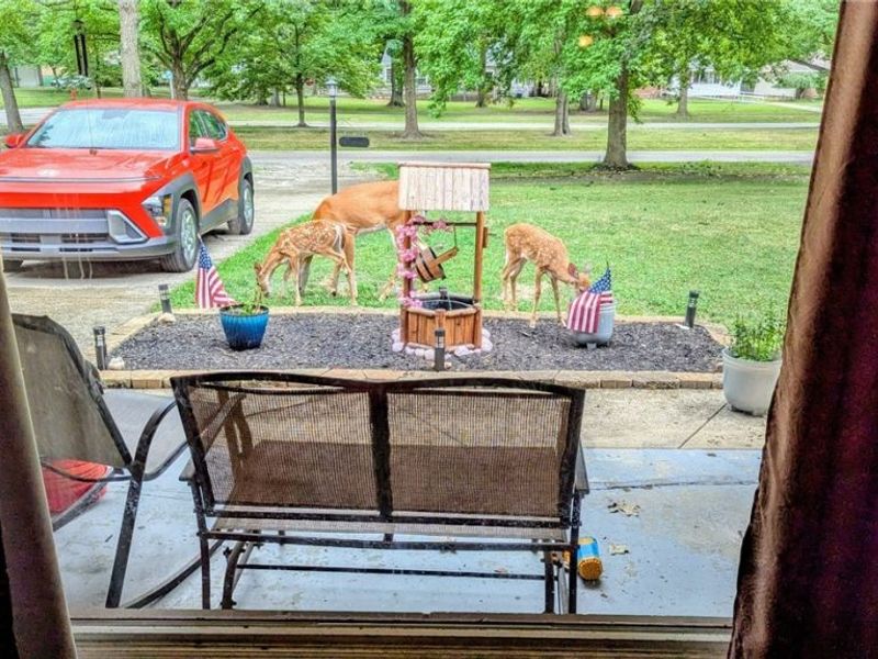 6624 Big Creek Parkway, Parma Heights, OH 44130 Photo 39