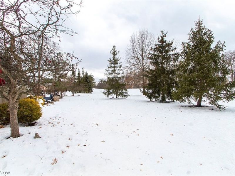 6564 Torington Drive, Medina, OH 44256 Photo 45