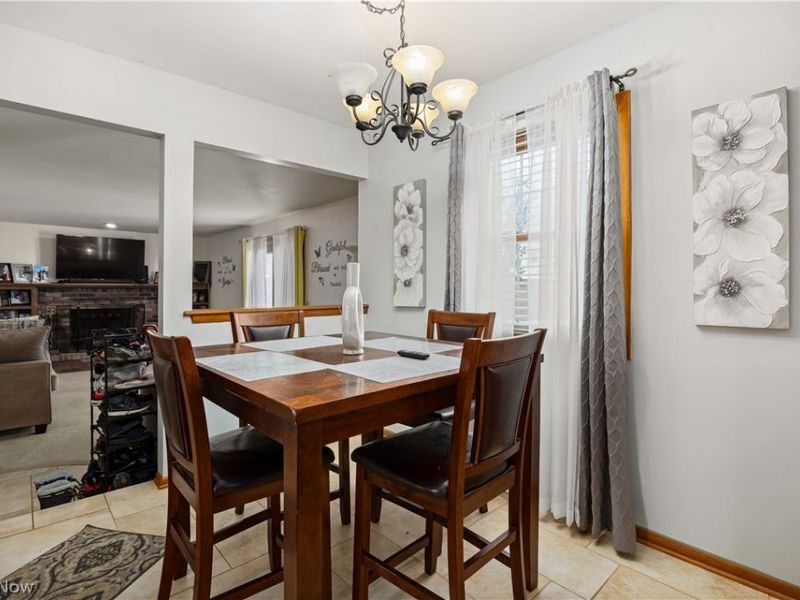 117 Woodview Drive, Elyria, OH 44035 Photo 16