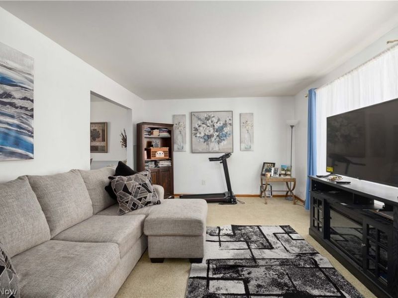 117 Woodview Drive, Elyria, OH 44035 Photo 7