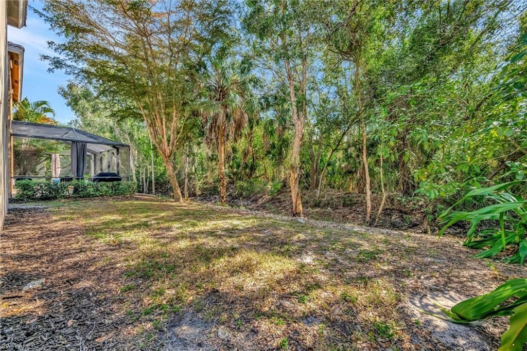 10245 S Golden Elm Dr, Estero, FL 33928 Photo