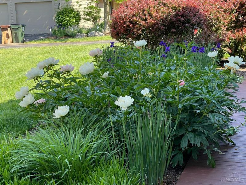 318 Miami Lakes Drive, Unit 9, Milford, OH 45150 Photo 72