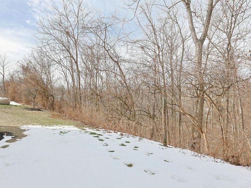 835 Neeb Road, Unit 6, Delhi Twp, OH 45233 Photo 34