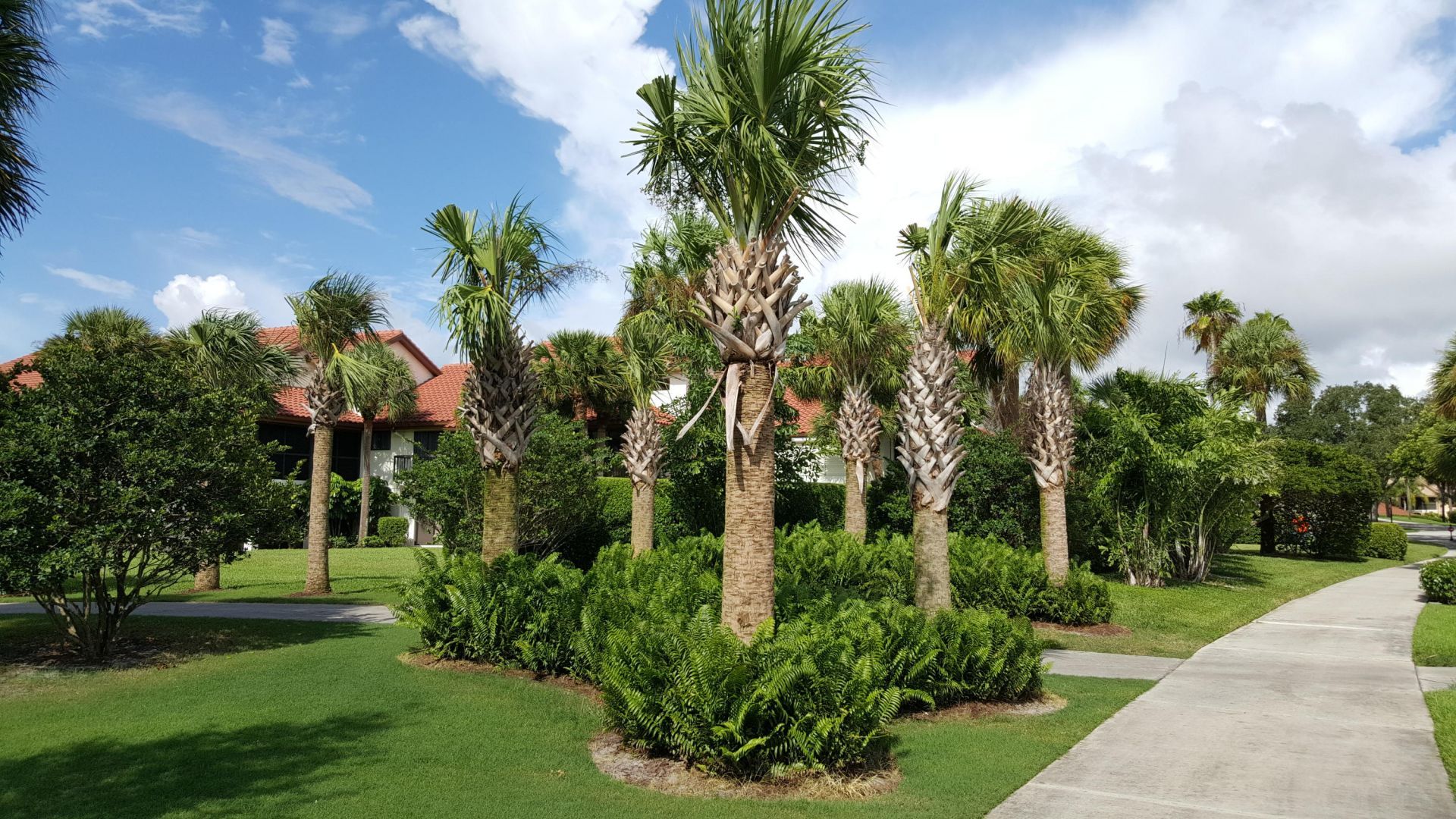 16600 S Traders Crossing, Unit 255, Jupiter, FL 33477 Photo